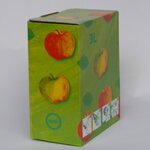 Bag in Box kartón 3 litre – zelený